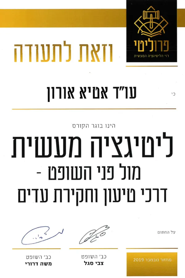 ליטיגציה מעשית